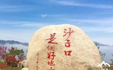尋味嶗山 |“鲅魚跳，丈人笑”