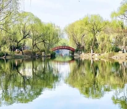 幾張圖告訴你，什么叫做“春”味正濃！ 