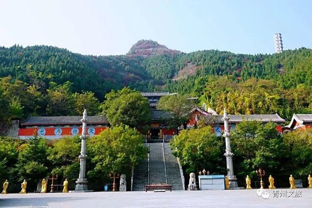 終于等到解封！青州泰和山也開放了~太美了