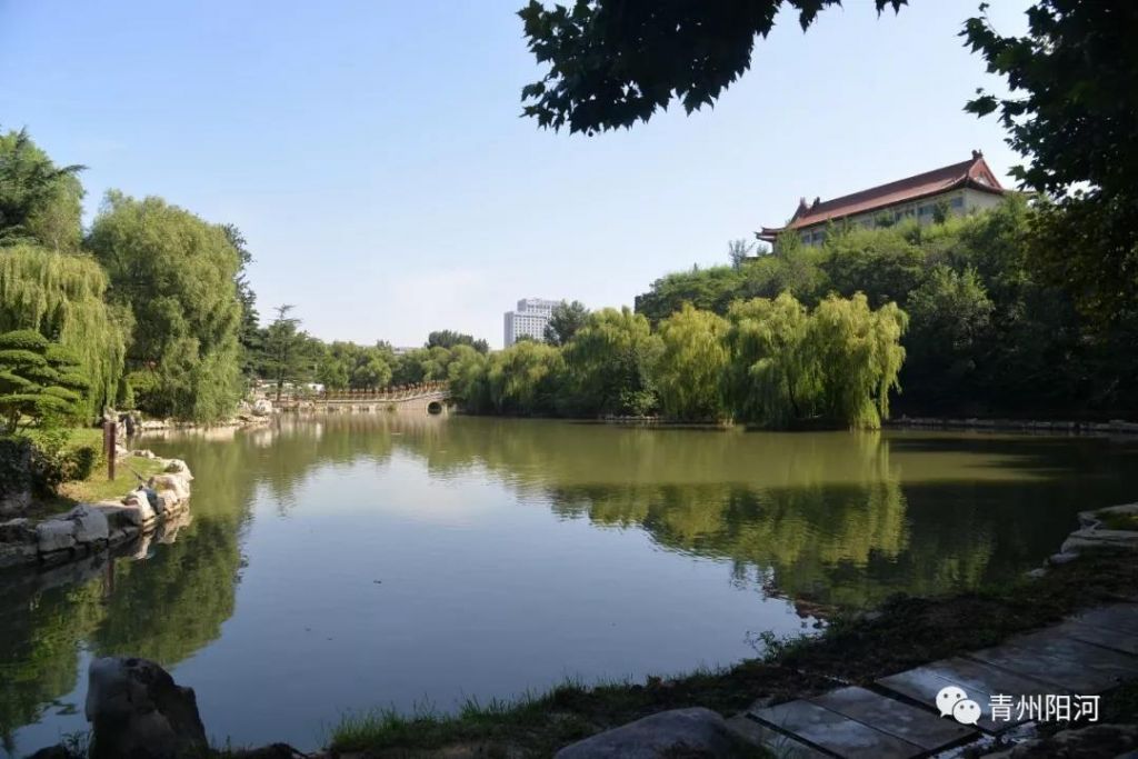 青州市仰天山景區、青州市范公亭公園開園公告