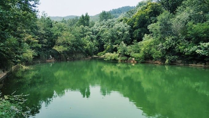 青州游，不可錯過的井塘古村