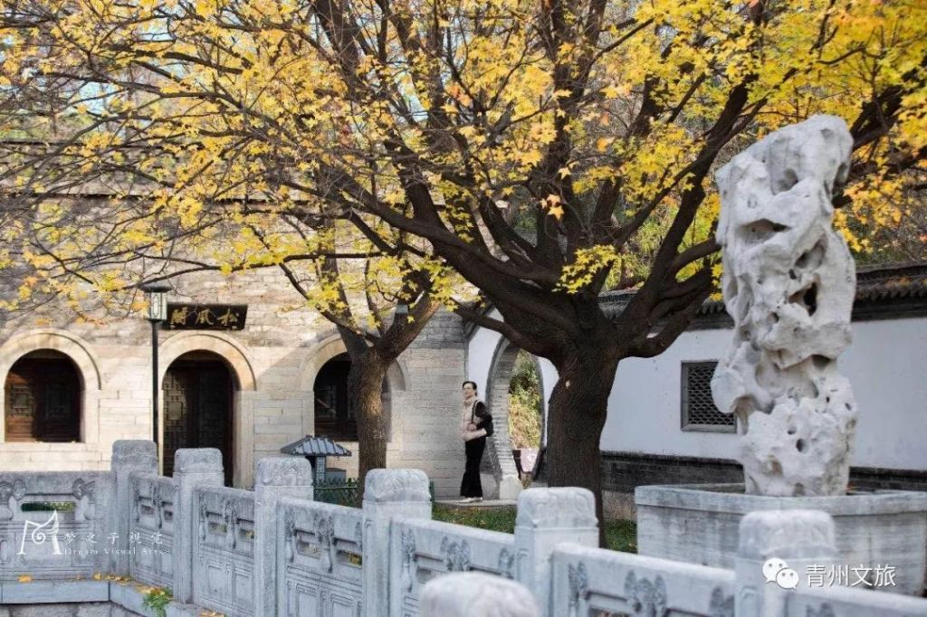 周末打卡！來青州這些公園享受靜謐時光吧~
