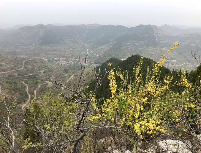 春日游，十道人，獅子溝