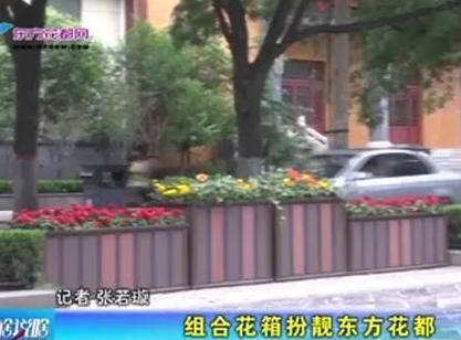 你發(fā)現(xiàn)了嗎？青州范公亭路上驚現(xiàn)“組合花箱”！