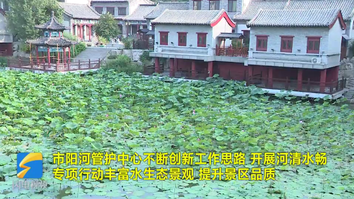 青州市陽河管護中心：精細管理 提升顏值