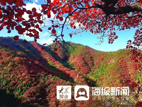 紅葉的最佳觀賞期到了，青州仰天山國家森林公園等你來