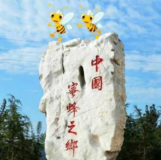 《蜜蜂賦》悅?cè)隋? style=