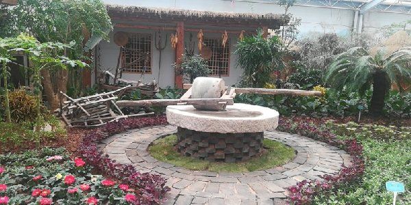 第20屆中國（青州）花卉博覽交易會隆重開幕
