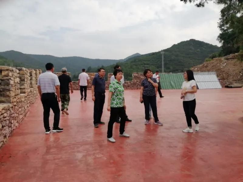 省文化和旅游廳副廳長孫樹娥一行到王墳鎮(zhèn)調(diào)研指導(dǎo)鄉(xiāng)村旅游發(fā)展工作