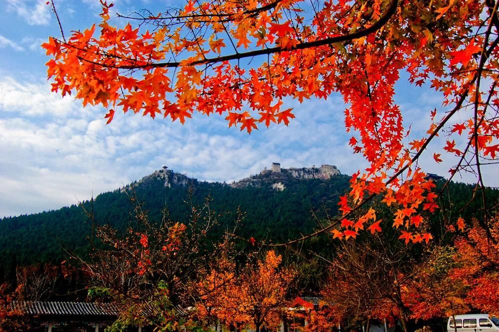 青州云駝風景區 ? 花林野趣