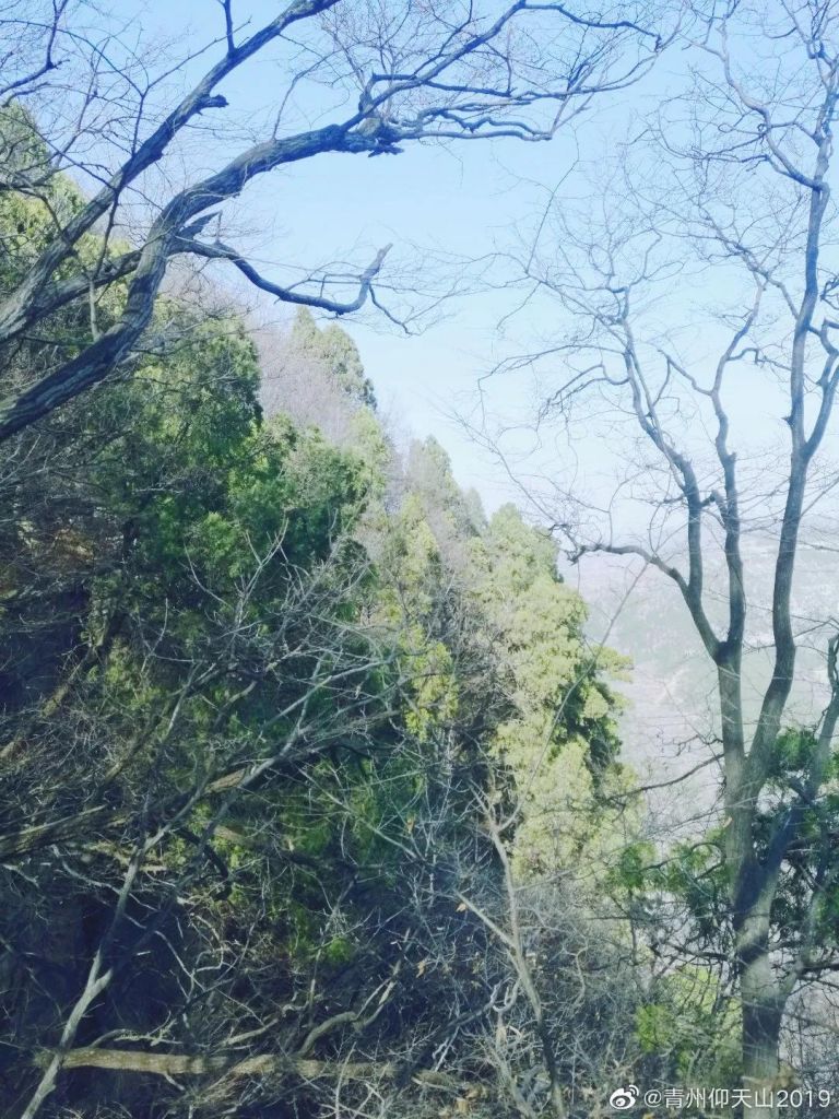 “養(yǎng)肺”，一起來仰天山，深呼吸！