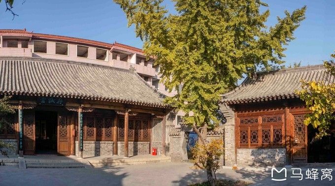 冬日陽光和煦，偶園別樣美麗