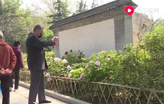 青州市：百花齊放春滿園 唯有牡丹真國色